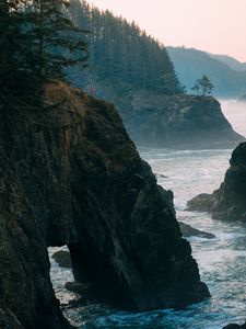 Preview wallpaper rocks, sea, arch, forest, spruce