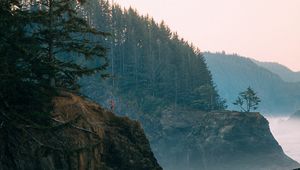 Preview wallpaper rocks, sea, arch, forest, spruce