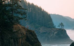 Preview wallpaper rocks, sea, arch, forest, spruce