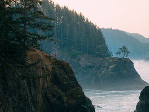 Preview wallpaper rocks, sea, arch, forest, spruce