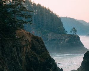 Preview wallpaper rocks, sea, arch, forest, spruce