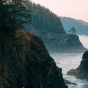 Preview wallpaper rocks, sea, arch, forest, spruce