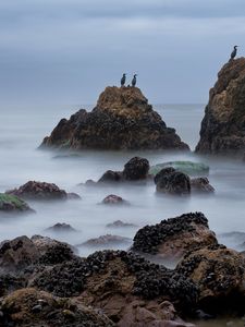 Preview wallpaper rocks, sea, birds, fog