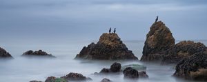 Preview wallpaper rocks, sea, birds, fog