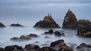 Preview wallpaper rocks, sea, birds, fog