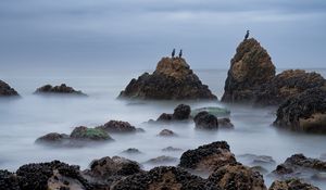 Preview wallpaper rocks, sea, birds, fog