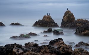 Preview wallpaper rocks, sea, birds, fog