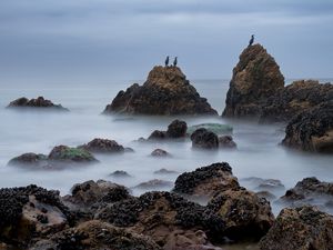 Preview wallpaper rocks, sea, birds, fog