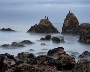 Preview wallpaper rocks, sea, birds, fog