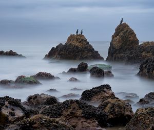 Preview wallpaper rocks, sea, birds, fog