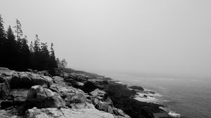 Preview wallpaper rocks, shore, cliff, bw