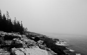 Preview wallpaper rocks, shore, cliff, bw