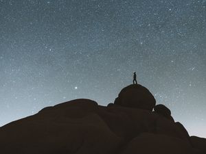 Preview wallpaper rocks, silhouette, alone, starry sky, night