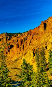 Preview wallpaper rocks, slope, relief, trees, nature