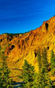 Preview wallpaper rocks, slope, relief, trees, nature