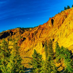 Preview wallpaper rocks, slope, relief, trees, nature