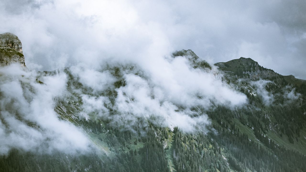 Wallpaper rocks, slope, trees, fog, clouds