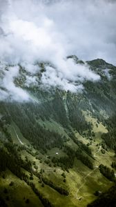 Preview wallpaper rocks, slope, trees, fog, clouds