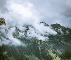 Preview wallpaper rocks, slope, trees, fog, clouds