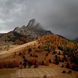 Preview wallpaper rocks, slope, trees, field, autumn