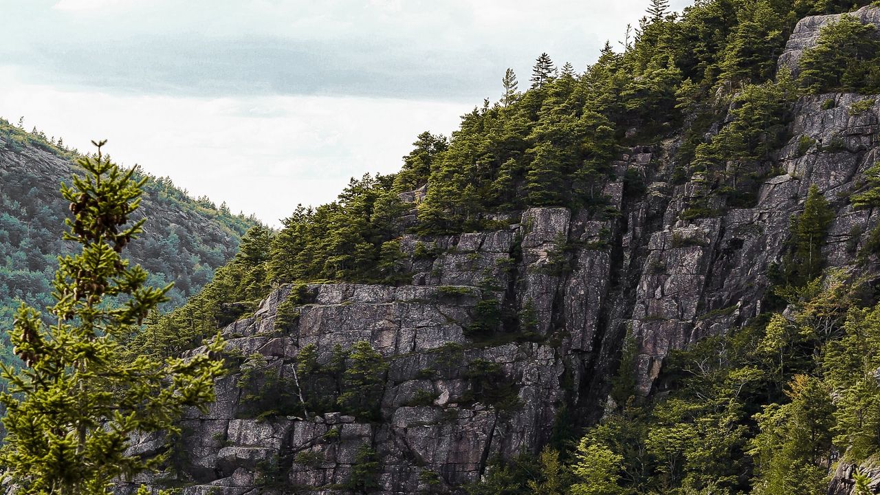 Wallpaper rocks, spruce, trees, slope