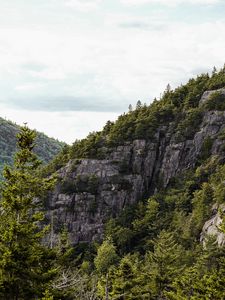 Preview wallpaper rocks, spruce, trees, slope