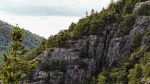 Preview wallpaper rocks, spruce, trees, slope