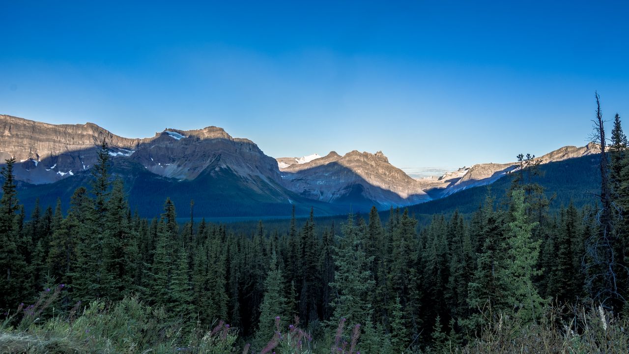 Wallpaper rocks, spruce, trees, sky
