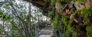 Preview wallpaper rocks, stone, fern, stairs