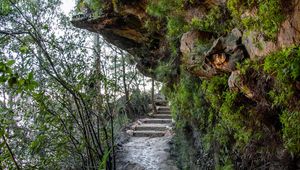 Preview wallpaper rocks, stone, fern, stairs