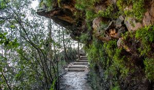 Preview wallpaper rocks, stone, fern, stairs