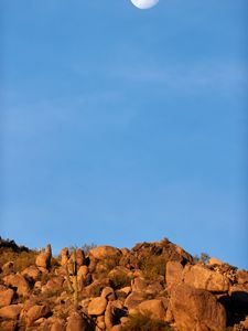 Preview wallpaper rocks, stones, bushes, moon, nature
