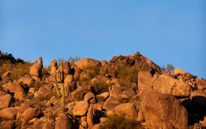 Preview wallpaper rocks, stones, bushes, moon, nature