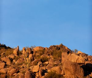 Preview wallpaper rocks, stones, bushes, moon, nature