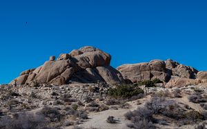 Preview wallpaper rocks, stones, bushes, nature