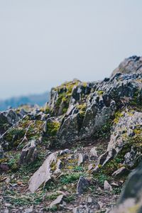 Preview wallpaper rocks, stones, moss, cliff, stony, mountain
