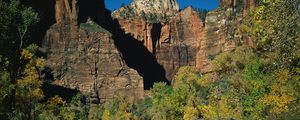 Preview wallpaper rocks, stones, mountain river, trees, autumn, branches, shade