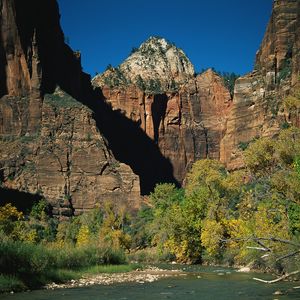 Preview wallpaper rocks, stones, mountain river, trees, autumn, branches, shade