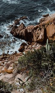 Preview wallpaper rocks, stones, sea, surf, cacti