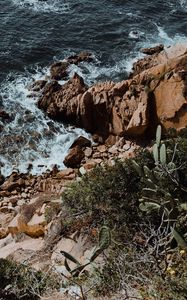 Preview wallpaper rocks, stones, sea, surf, cacti