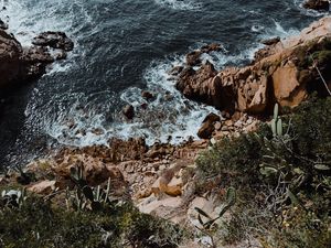 Preview wallpaper rocks, stones, sea, surf, cacti