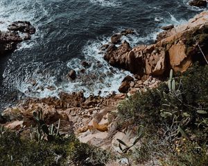 Preview wallpaper rocks, stones, sea, surf, cacti