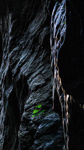 Preview wallpaper rocks, stones, stone, plant