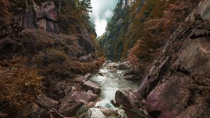 Preview wallpaper rocks, stones, stream, trees