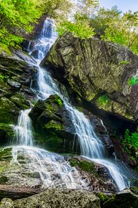 Preview wallpaper rocks, stream, waterfall, forest