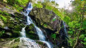 Preview wallpaper rocks, stream, waterfall, forest