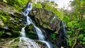 Preview wallpaper rocks, stream, waterfall, forest