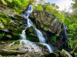 Preview wallpaper rocks, stream, waterfall, forest