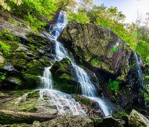 Preview wallpaper rocks, stream, waterfall, forest