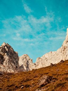 Preview wallpaper rocks, top, grass, blocks